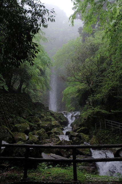 養老の滝。雨天のため水量豊富であった。