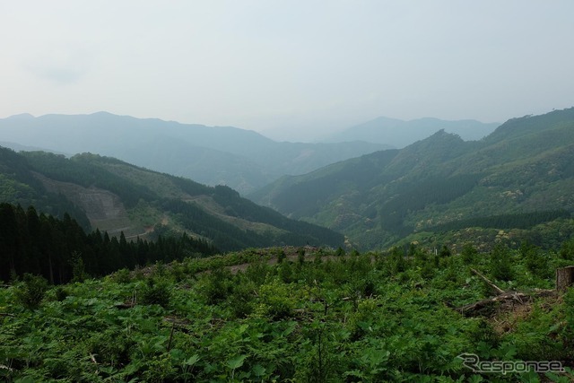 九州山地の奥部。林業は崩壊状態だが、治山のために定期的に伐採、植林されている。