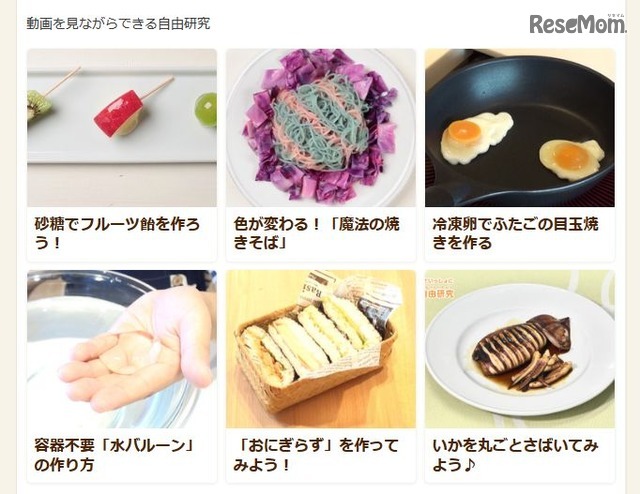 身近な食材で科学現象を体感できる自由研究が盛りだくさん