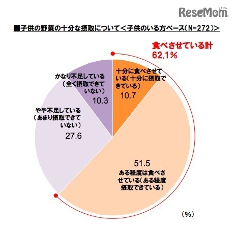 子どもの野菜の十分な摂取について
