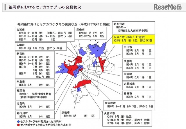福岡県におけるセアカゴケグモの発見状況