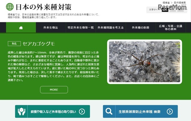 日本の外来種対策