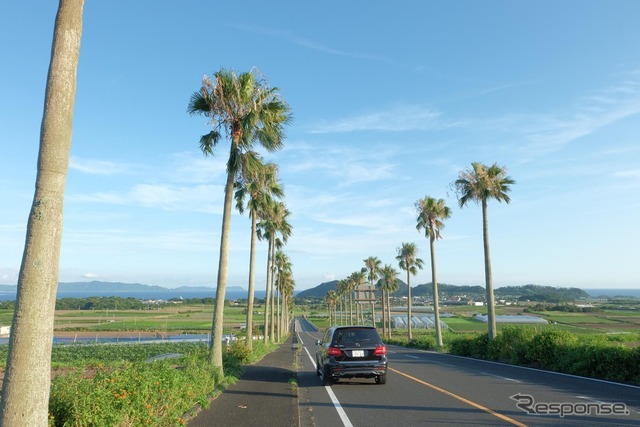 薩摩半島最南端、長崎鼻に向かうロード。いよいよ南になったなという雰囲気が漂う場所だ。