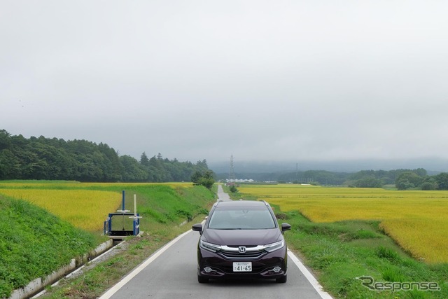 秋の田園風景は気持ちが良い。